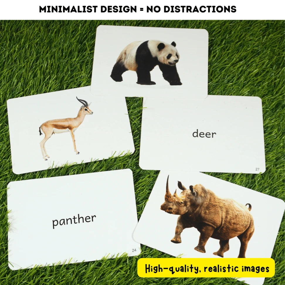 Wild animals flash card