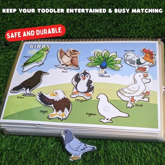 Learn wild, farm, and sea animals