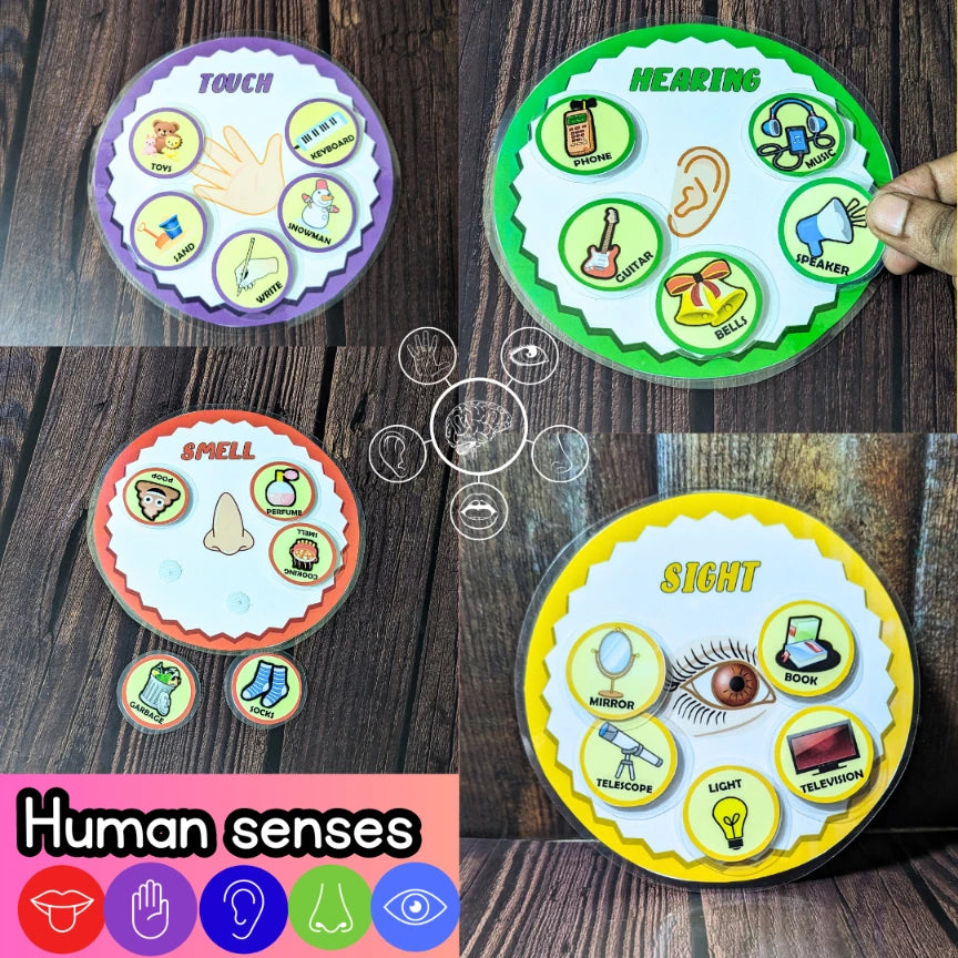 five senses learning kits for toddlers