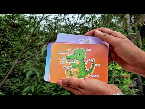 Animal body parts cards