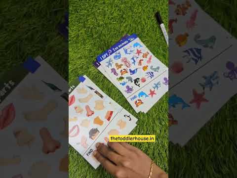 I SPY - Reusable Mats