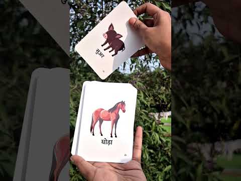hindi animals flash cards for 2 year old