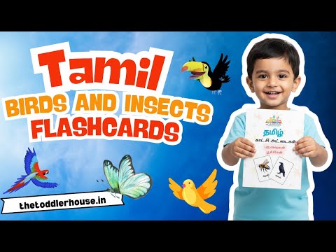 Montessori Tamil flash cards birds and insects