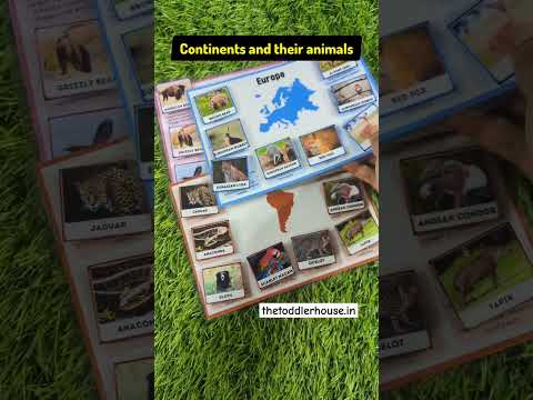 educational sorting mat for toddlers