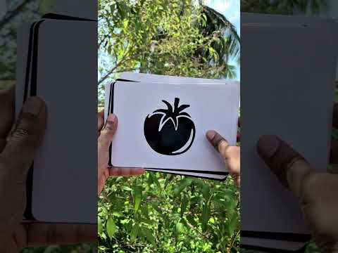 Newborn High-Contrast Vegetable Flashcards