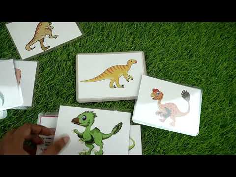 40 Dinosaur Flashcards