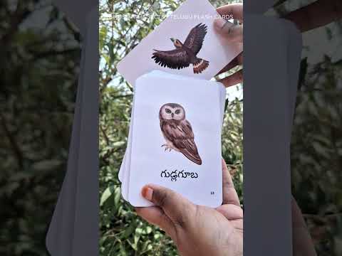 best Telugu educational nature flashcards for kids