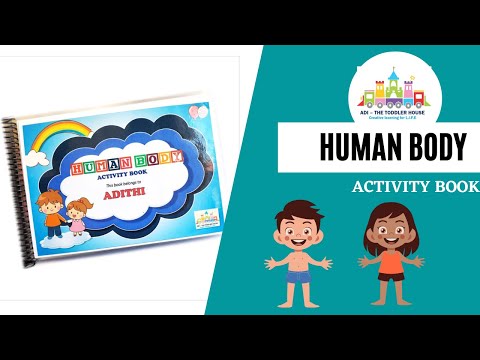 Human body activity book