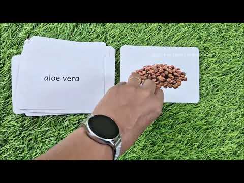 Medicinal herbs - Right Brain Education Flash Cards