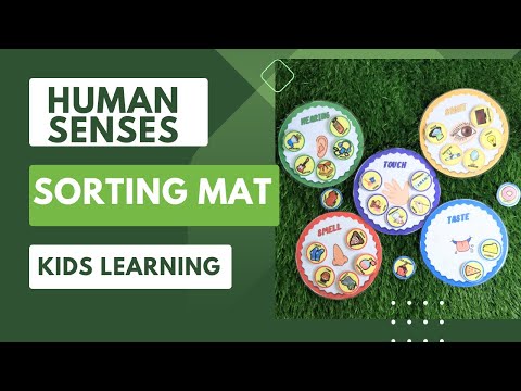 Educational five senses mat for kids