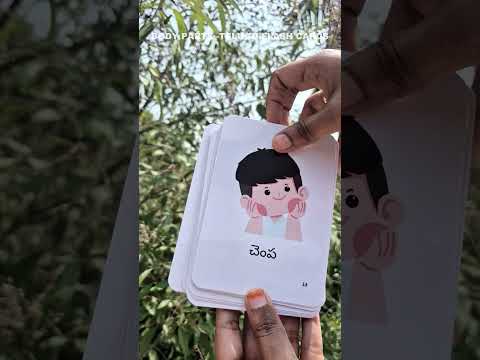 preschool Telugu vocabulary building flashcards set