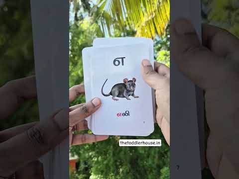 Tamil Arichuvadi Flash cards