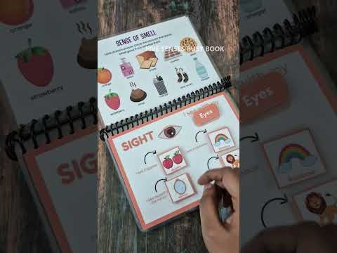Reusable Laminated Toddler Activity Book - Learn Senses with Matching Games