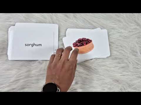 Pulses and Cereals - Right Brain Flash Cards