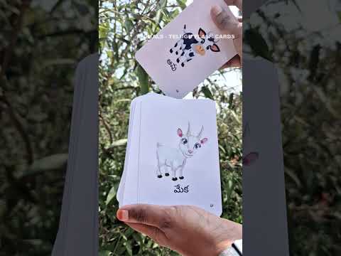 screen free animal learning cards for toddlers in India