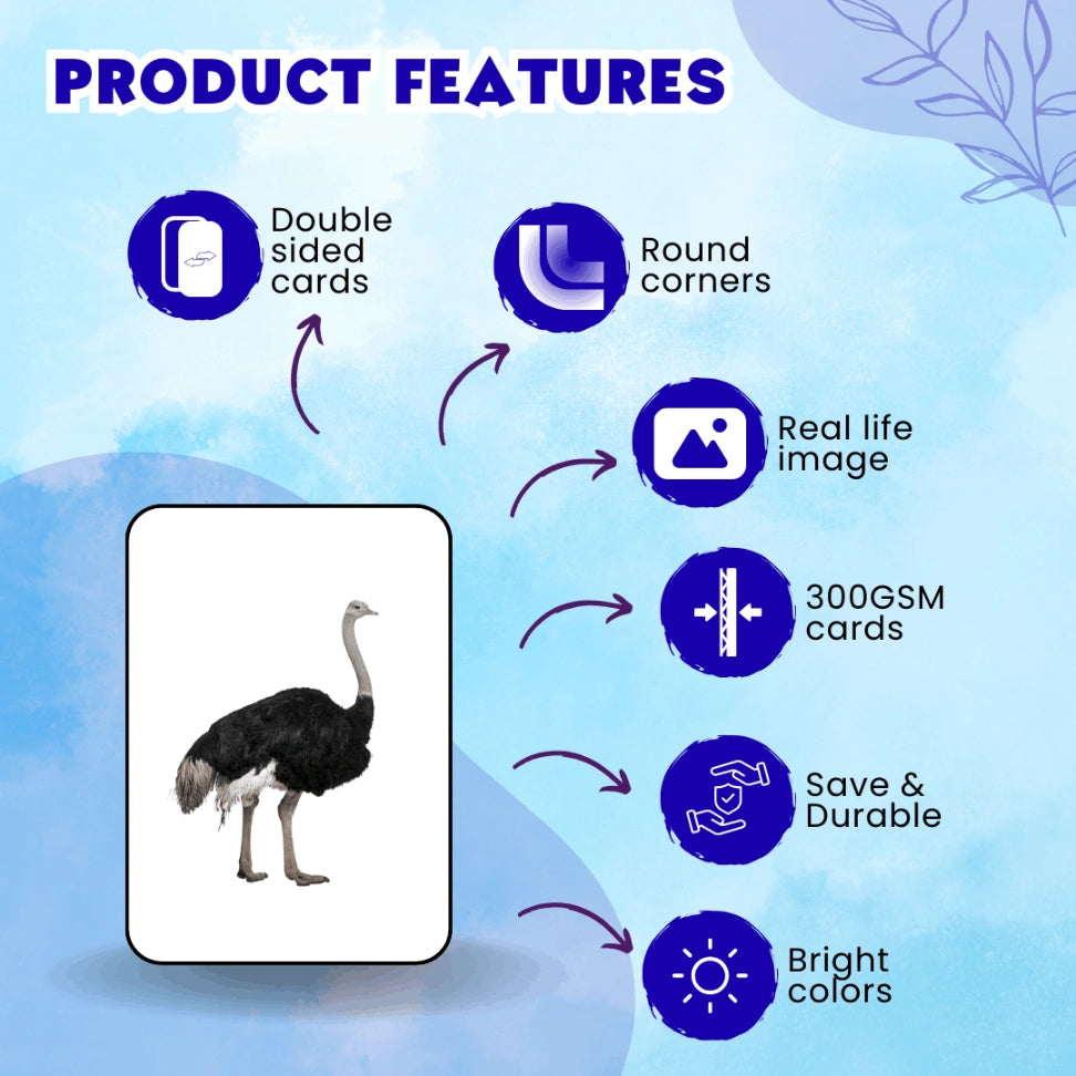screen free nature learning cards for toddlers in India